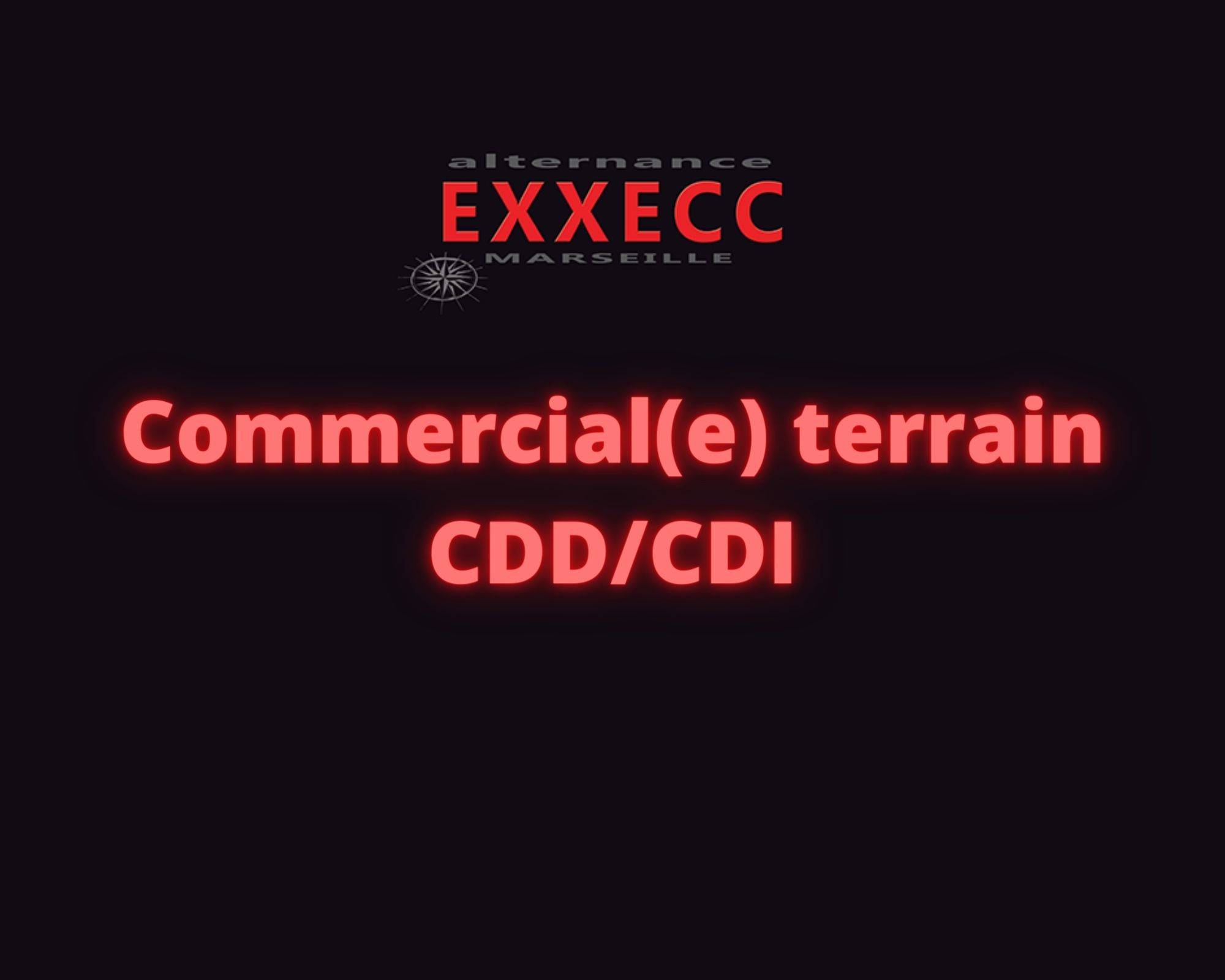 Commercial(e) terrain CDD/CDI