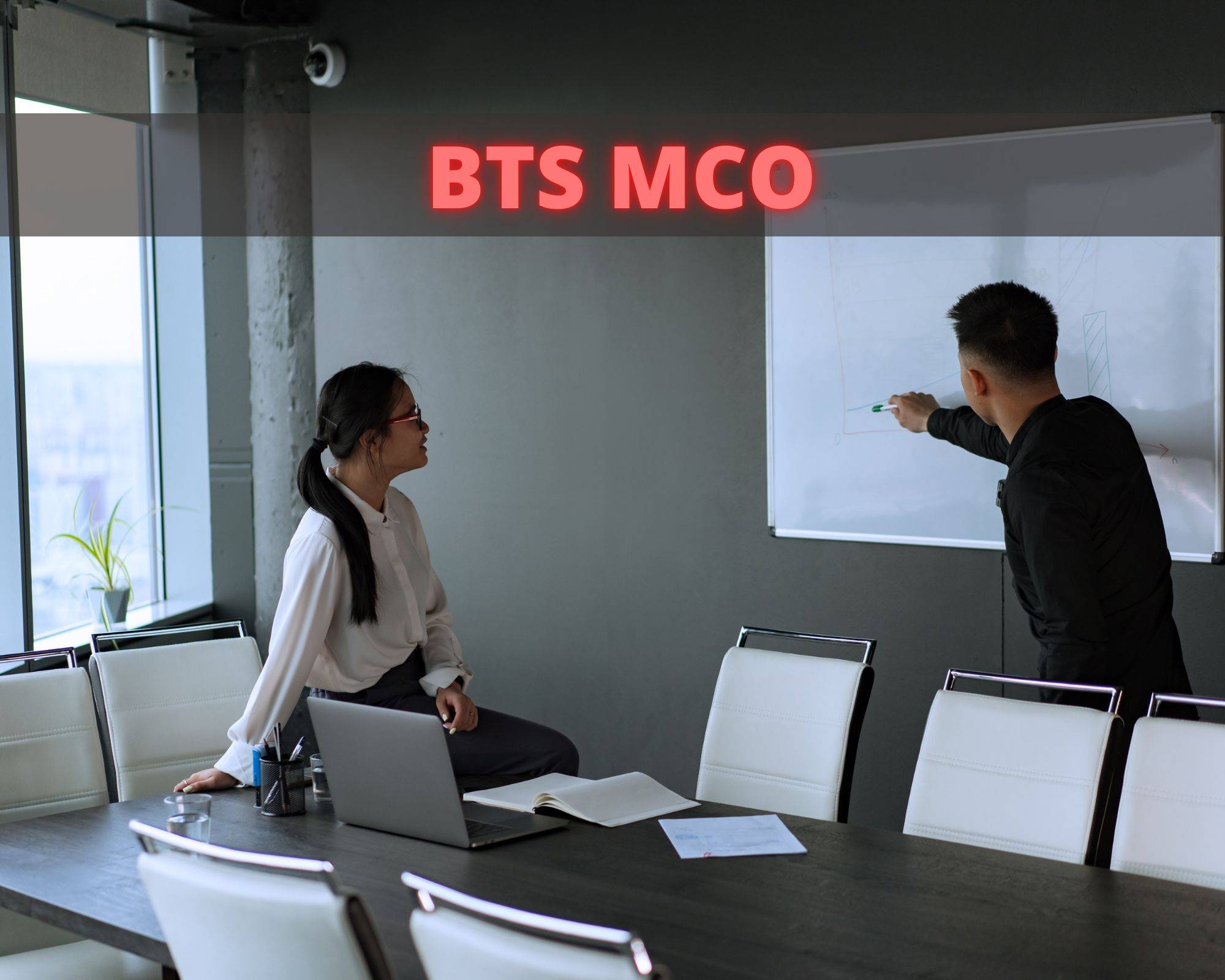 BTS Management Commercial Opérationnel