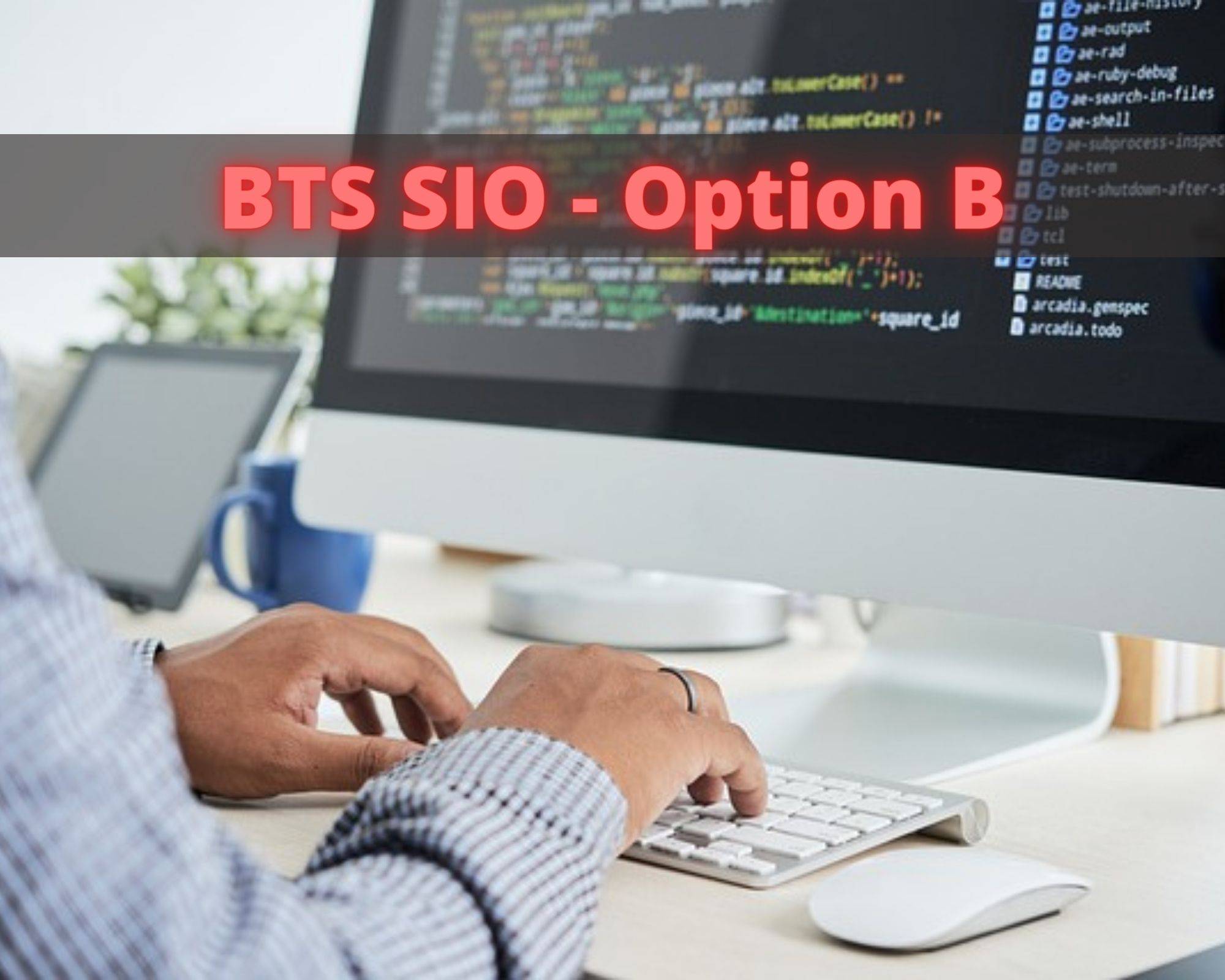  BTS Services Informatiques aux Organisations Option B Solutions logicielles et applications métiers