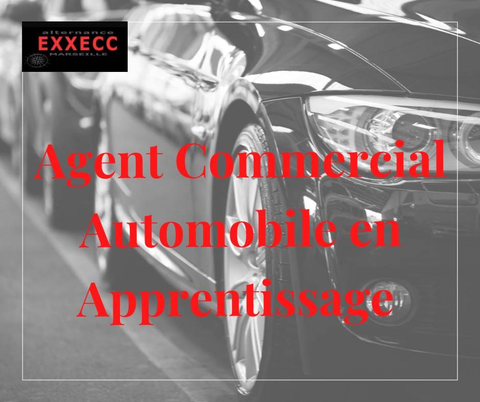 Agent Commercial automobile en alternance (H/F)