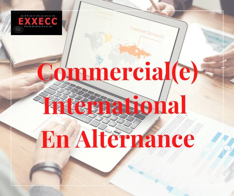Commercial(e) International en Alternance - POURVU