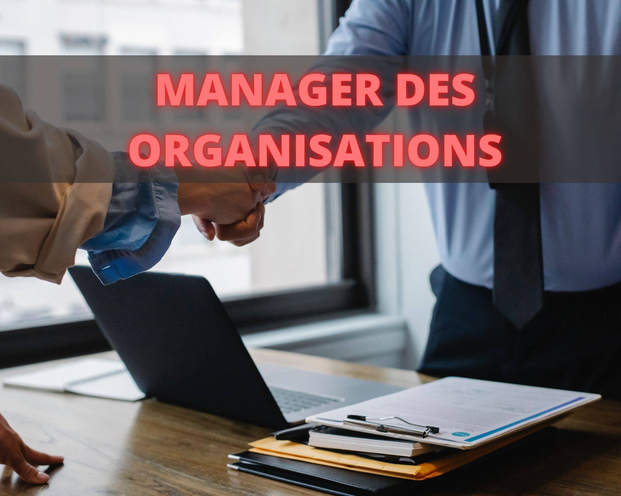 Mastère Européen Management et Stratégie d’Entreprise - Certification professionnelle Niveau 7 Manager des Organisations par CDE FEDE France
